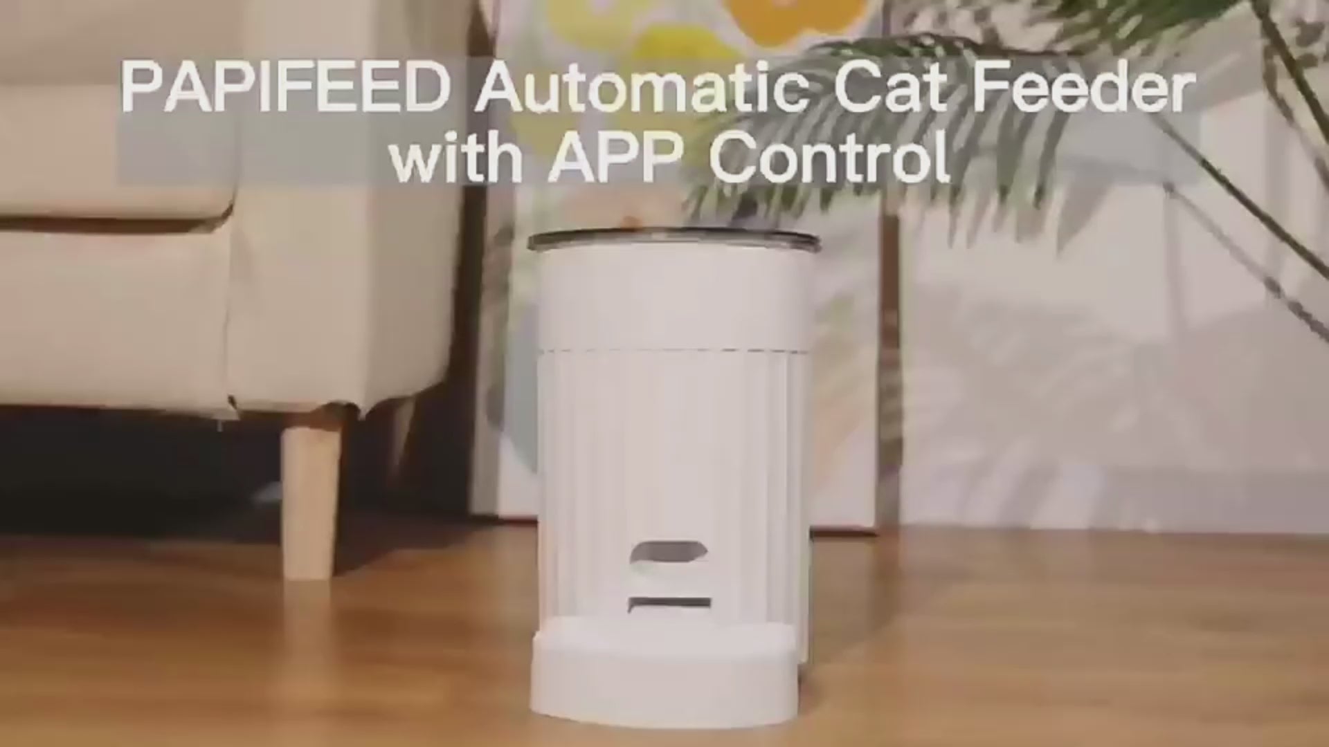 Cat Automatic Pet Feeder Intelligence